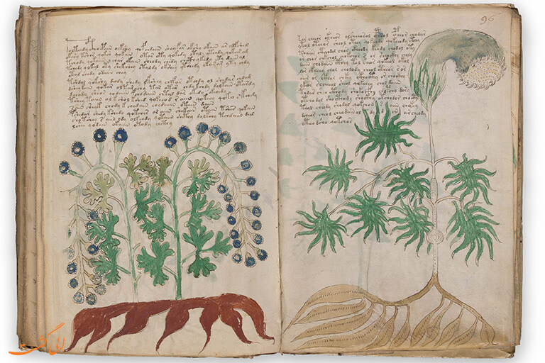 voynich-manuscript-facsimile-edition