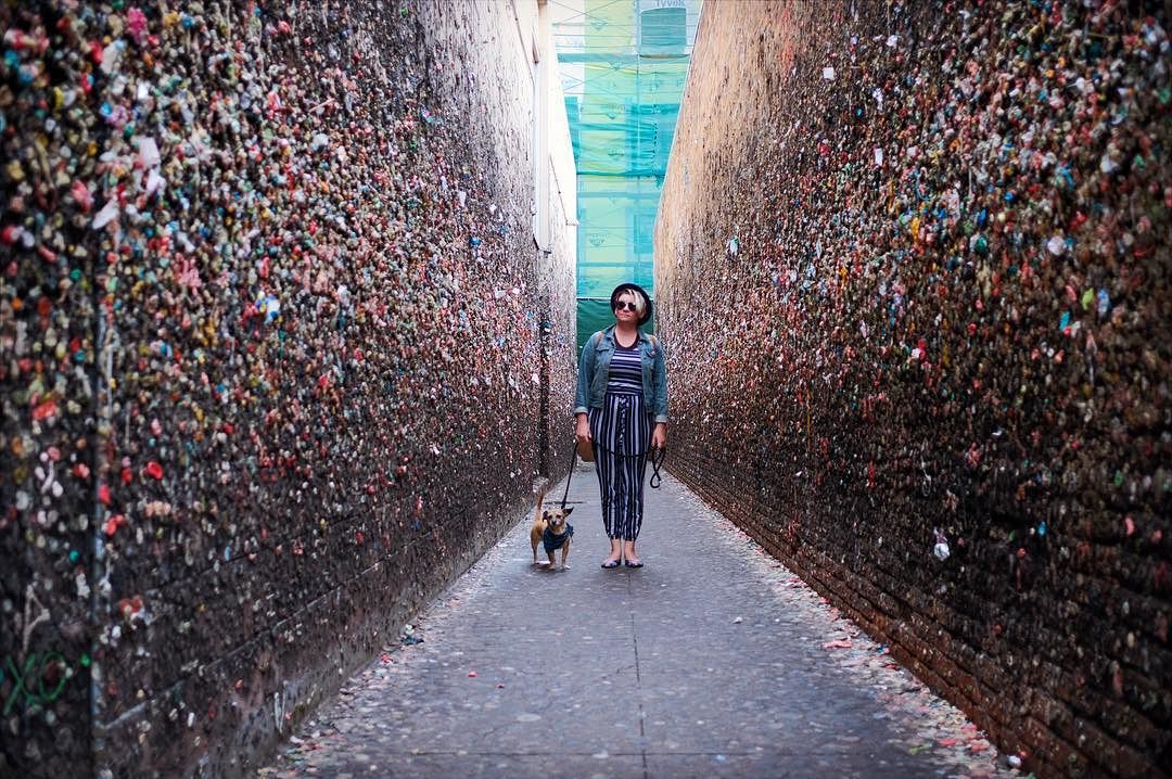 bubblegum-alley-san-luis-obispo-california