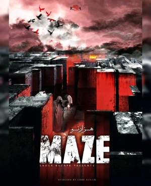 اتاق فرار maze